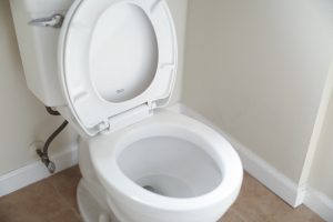 Why Is My Toilet Handle Loose or Not Working?